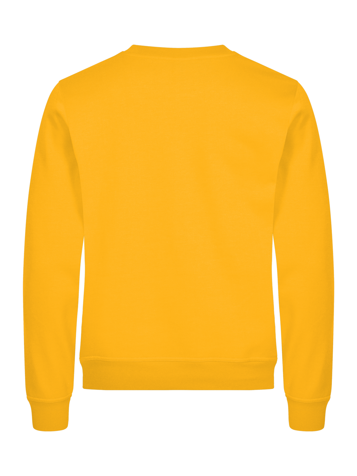 Clique Basic Roundneck – Sitrongul – bakside