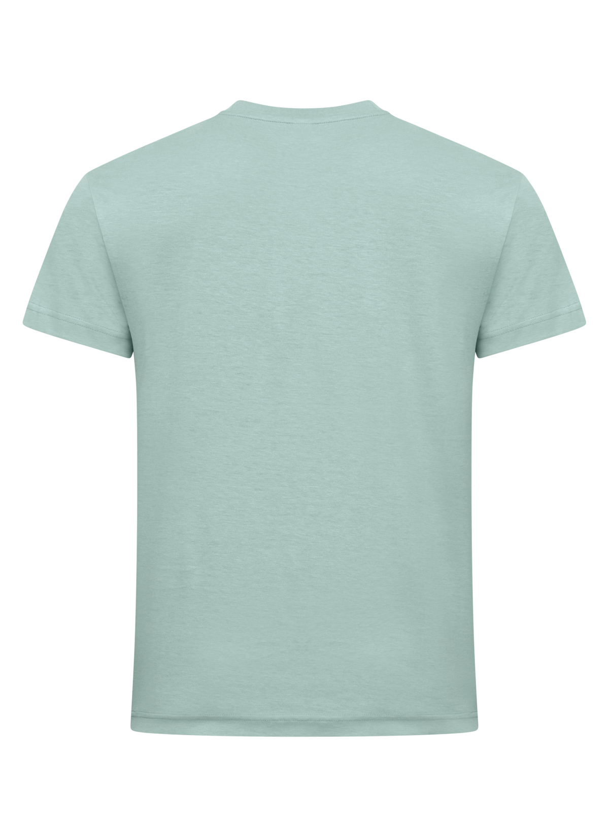 Clique New Classic-T – Salviegrønn – bakside